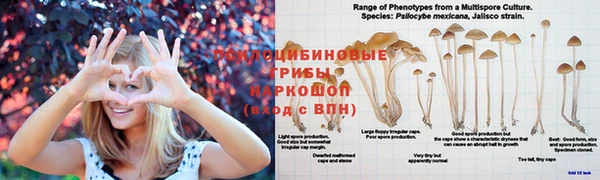 бутират Баксан