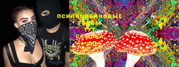мдпв Магадан