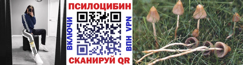 Галлюциногенные грибы Cubensis  наркота  Беломорск 