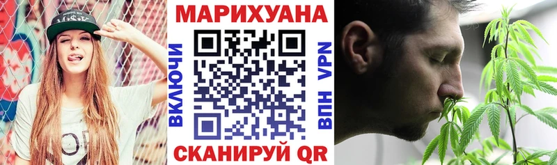 Конопля марихуана  Беломорск 